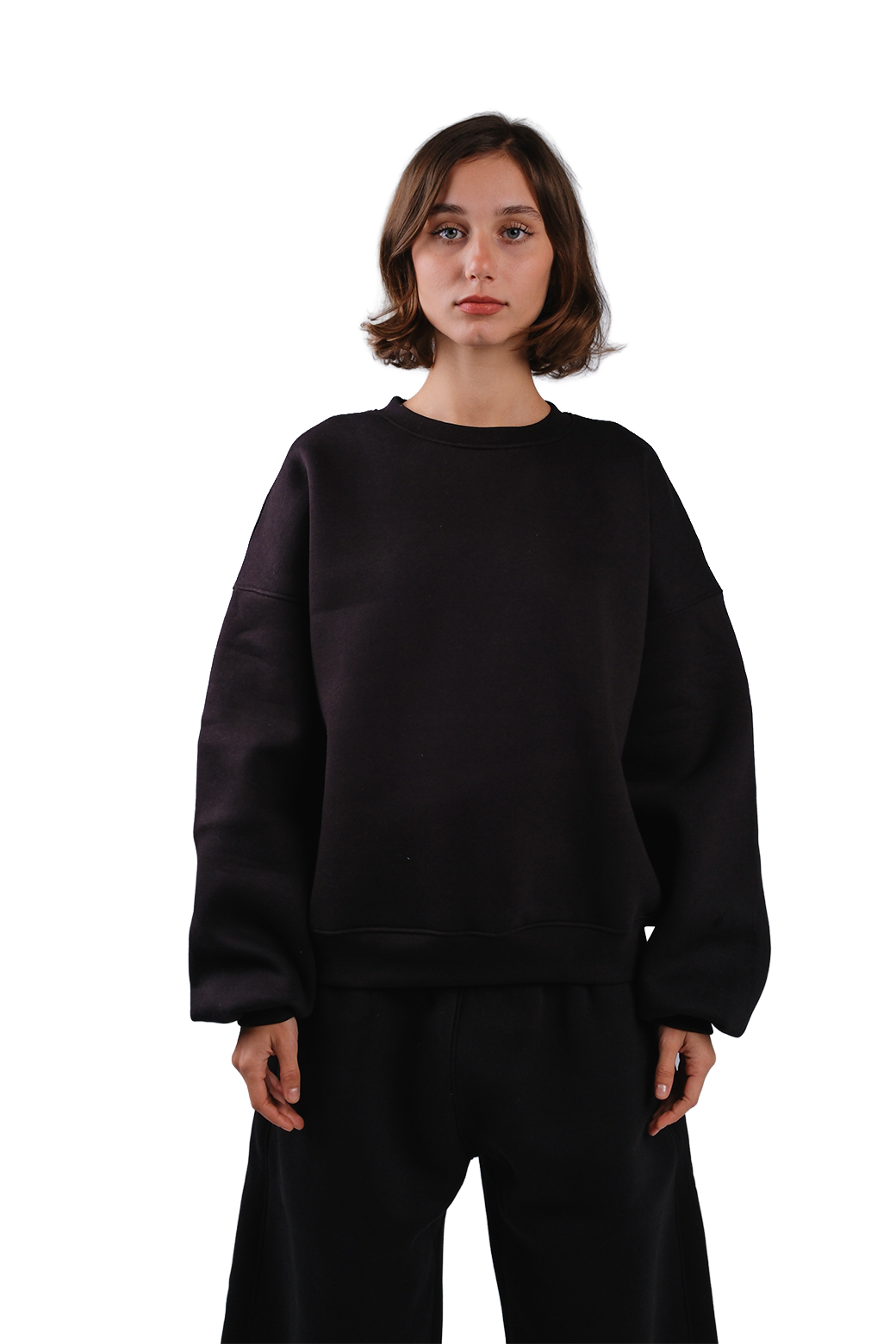 NP-41 CREWNECK / OFFLINE