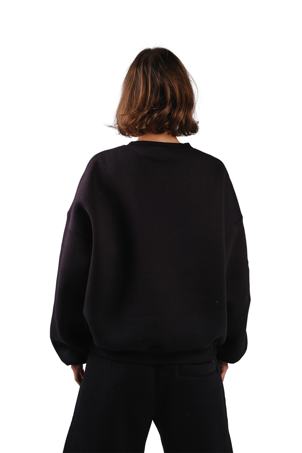 NP-41 CREWNECK / OFFLINE