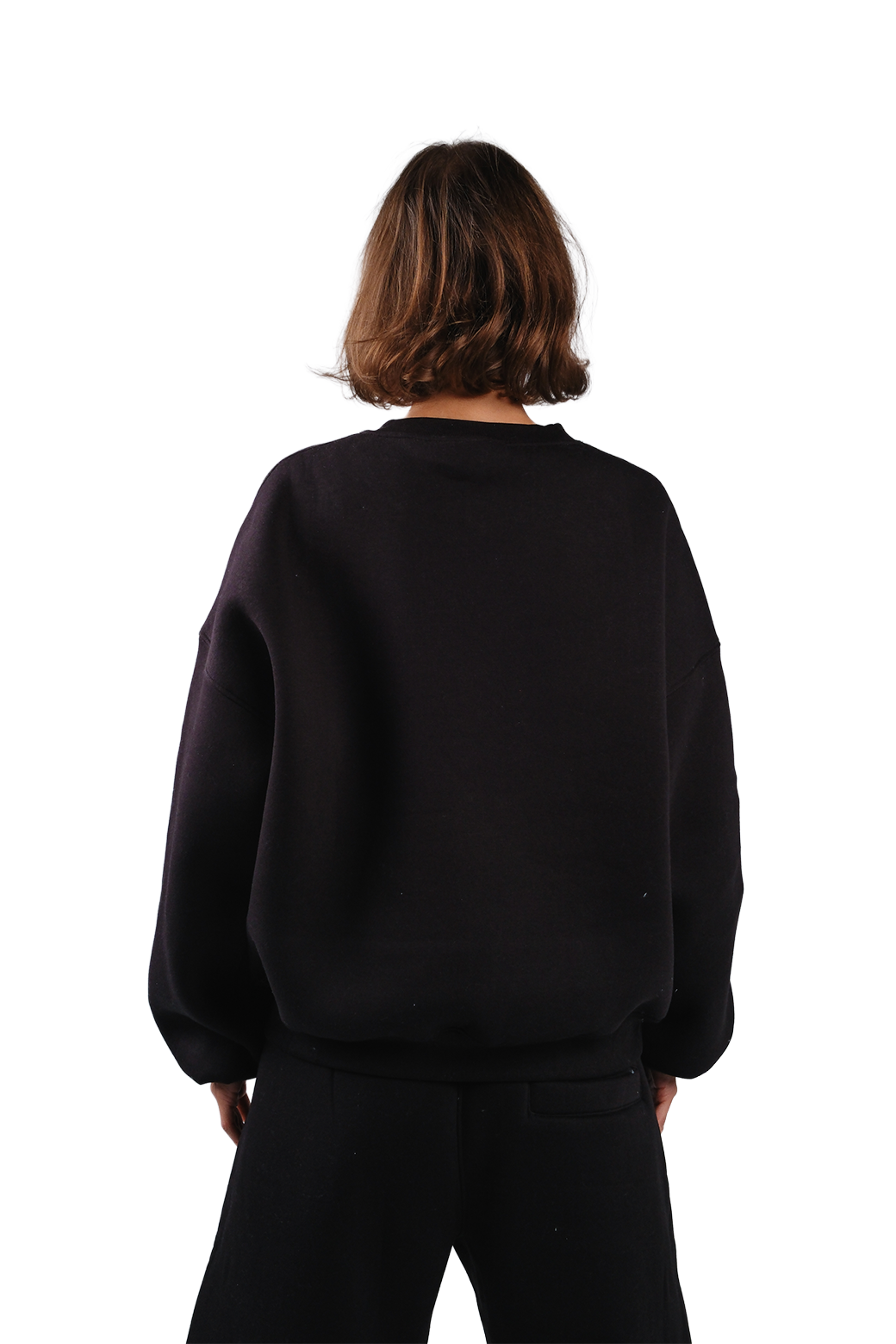 NP-41 CREWNECK / OFFLINE