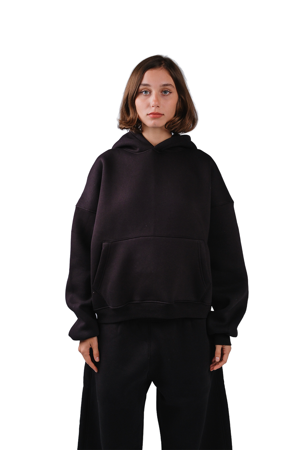 NP-33 HOODIE / OFFLINE