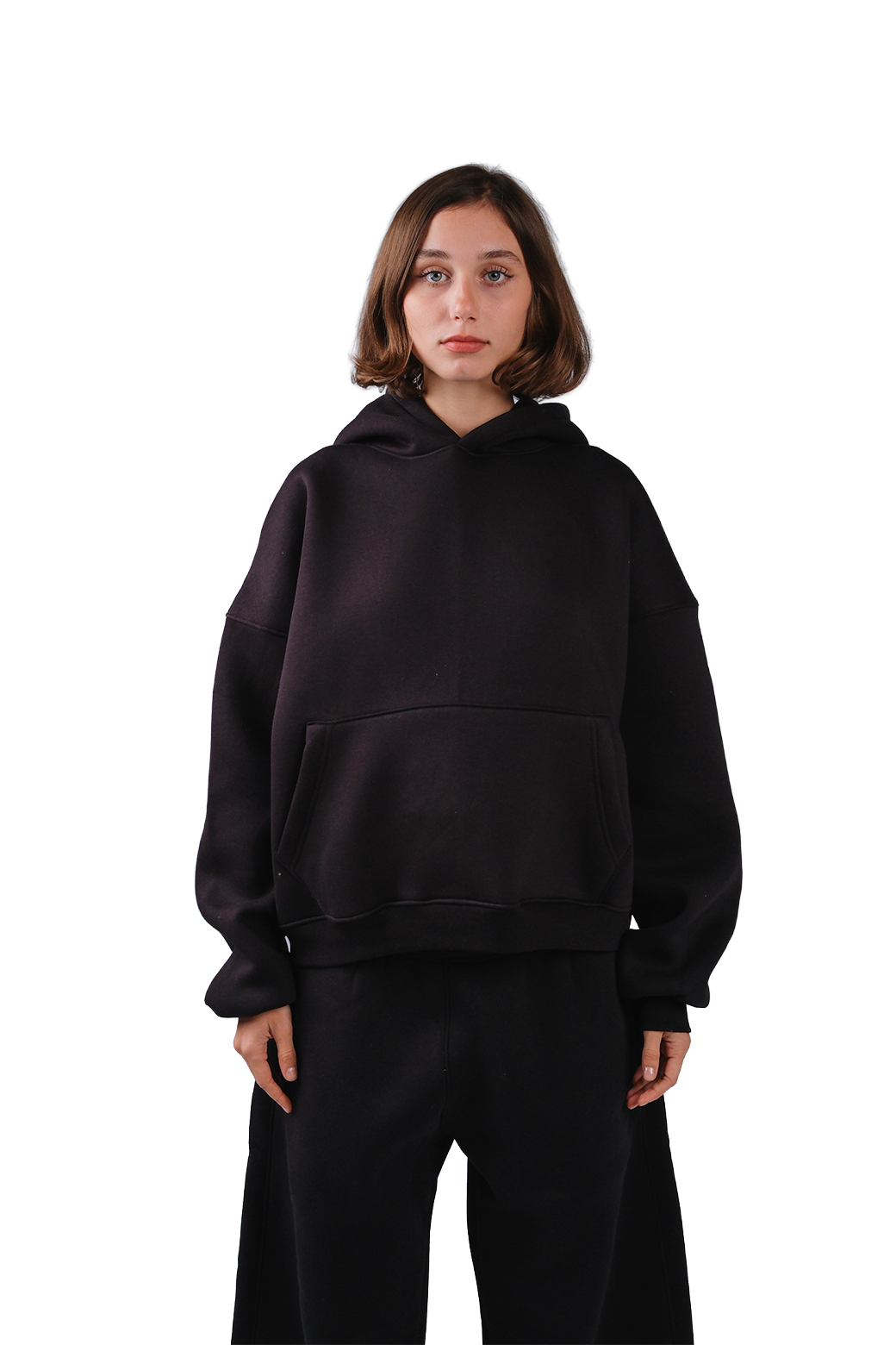 NP-33 HOODIE / OFFLINE