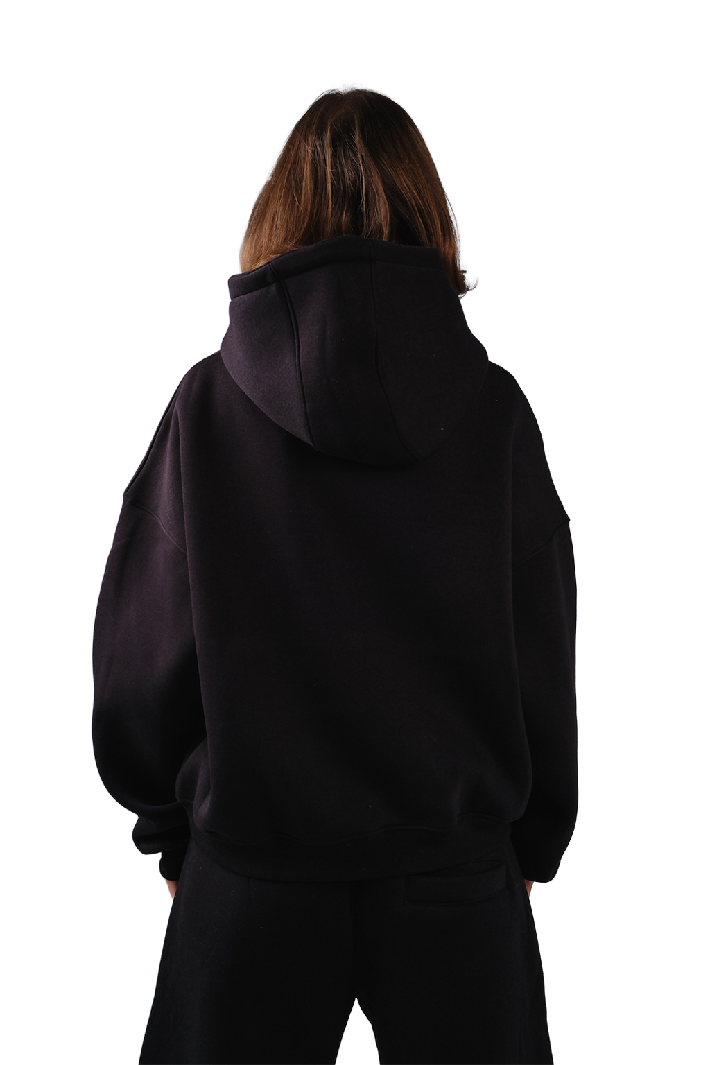 NP-33 HOODIE / OFFLINE