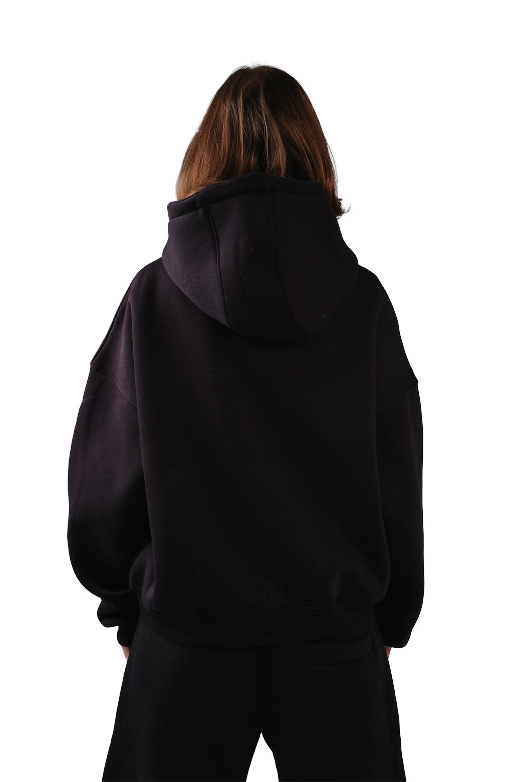 NP-33 HOODIE / OFFLINE