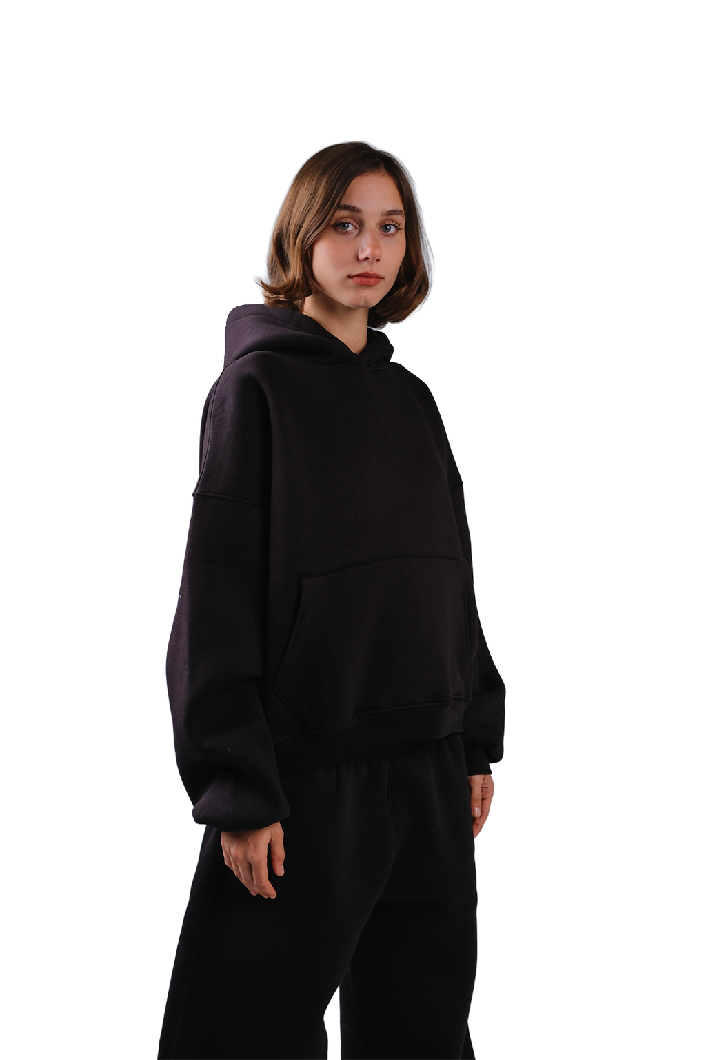 NP-33 HOODIE / OFFLINE