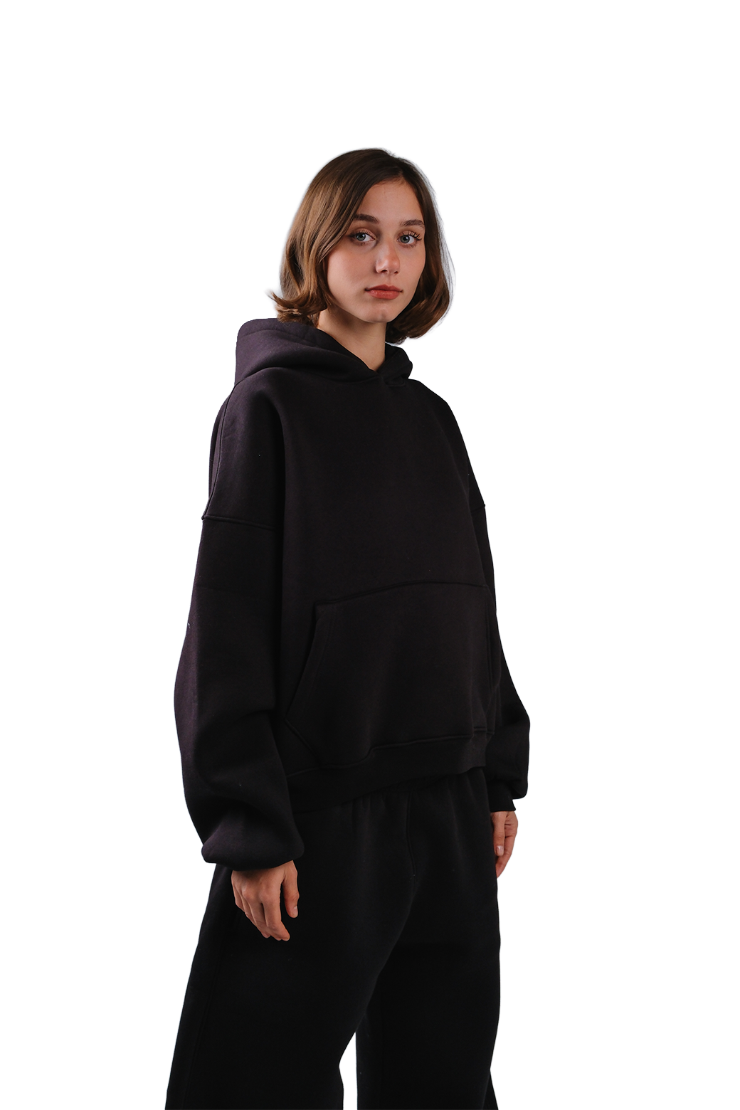 NP-33 HOODIE / OFFLINE