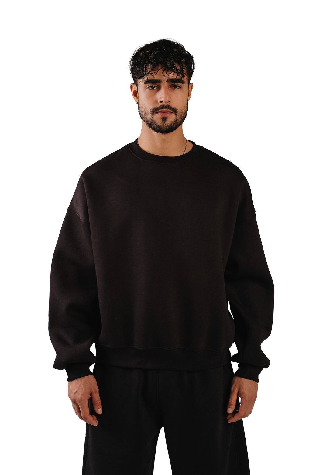 NP-41 CREWNECK / OFFLINE