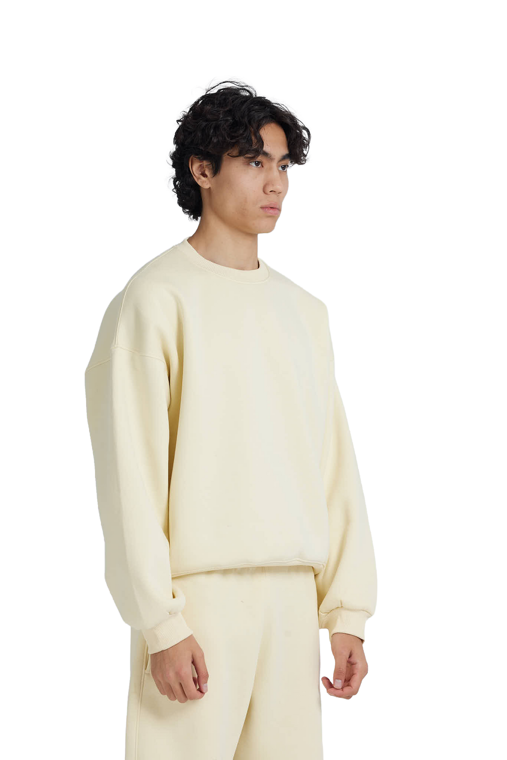 NP-123 CREWNECK / NOTED