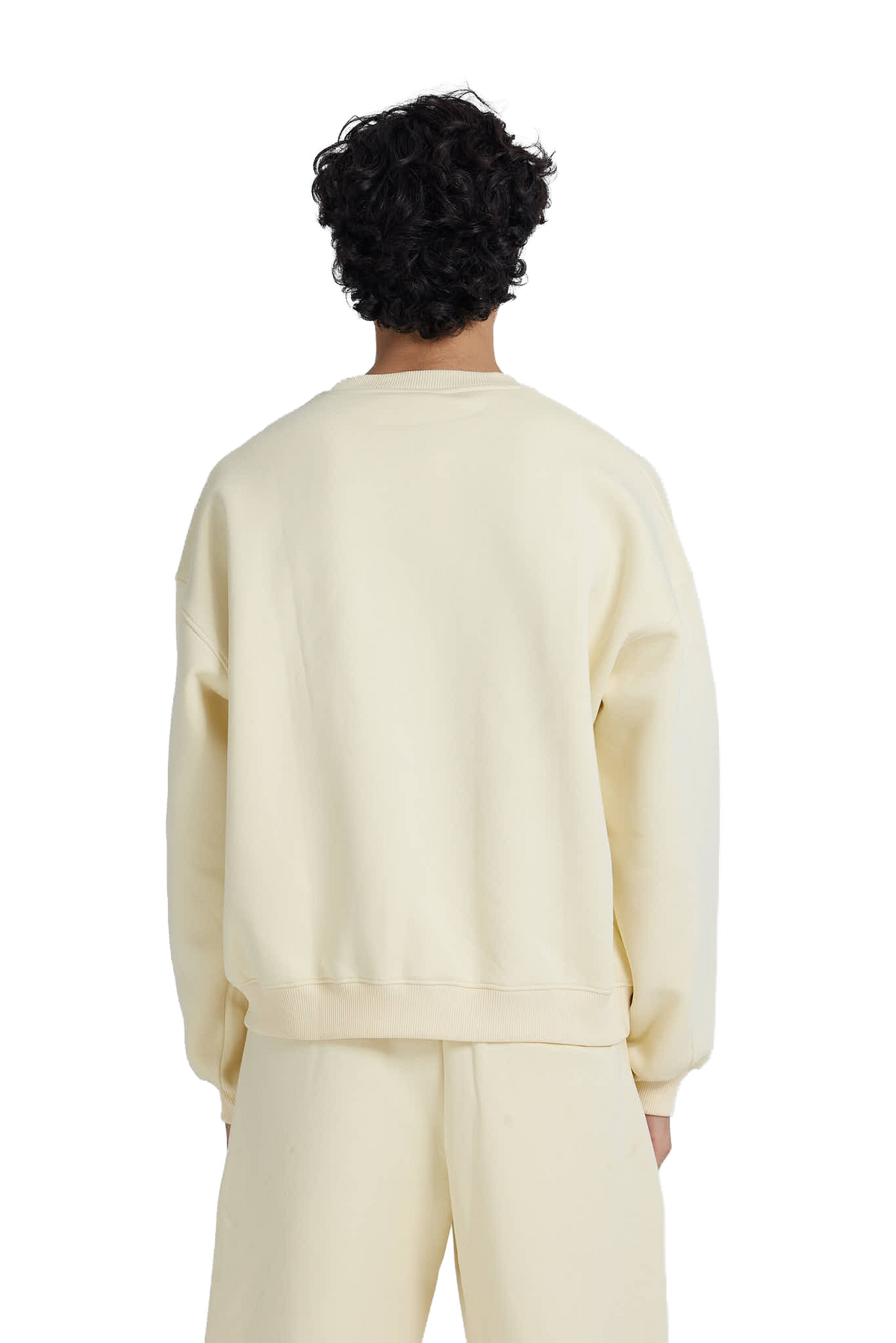 NP-123 CREWNECK / NOTED
