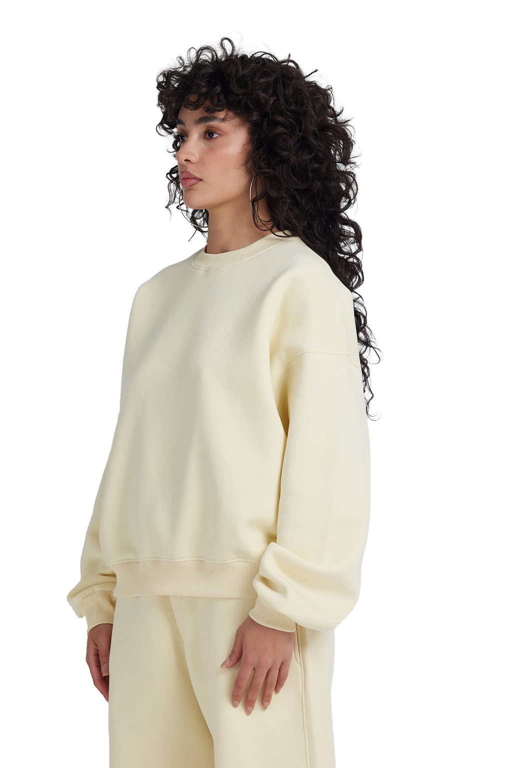 NP-123 CREWNECK / NOTED